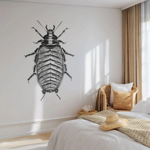 Papier Peint Photo Premium Sand - Illustration en noir et blanc d'un gros insecte sur fond blanc - 100x70cm - Quel spécimen! - Décoration murale moderne pour le salon et la chambre ARTTOR