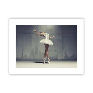 Affiche - Poster - Léger comme un oiseau - 40x30 cm