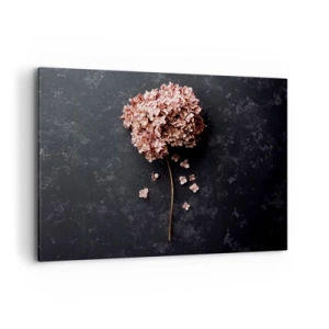 Impression sur toile - Image sur toile - Une délicate fleur d'hortensia sur un fond sombre - 100x70cm - Un signe vraiment romantique - Décoration murale moderne pour le salon et la chambre ARTTOR