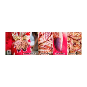 Échantillon de Papier Peint Autocollant Deluxe Sticker - Prêt à saisir votre chance - Mains de femmes, Dessins orientaux, Inde - 100x30 cm