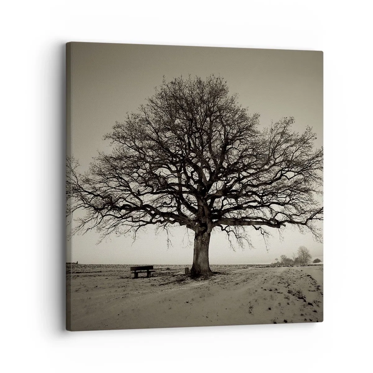 Impression sur toile - Image sur toile - D'ici à l'éternité - 30x30 cm