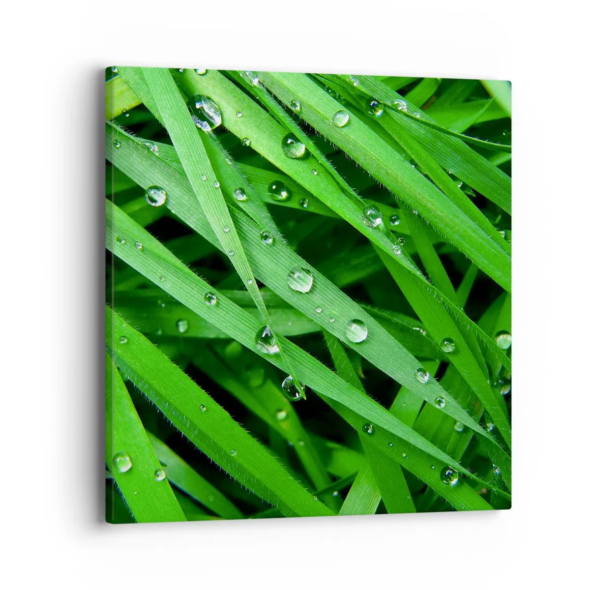 Impression sur toile - Image sur toile - Jouez dans le vert - 40x40 cm
