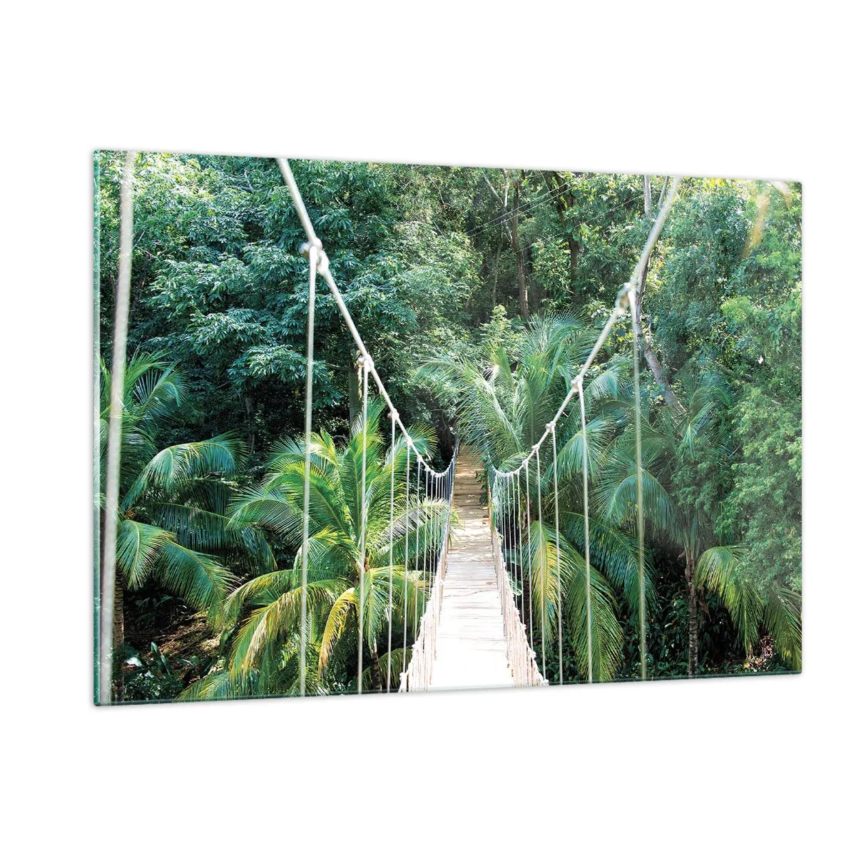 Impression sur verre - Image sur verre - Pont suspendu dans une forêt tropicale - 120x80cm - Welcome to the jungle! - Décoration murale moderne pour le salon et la chambre ARTTOR