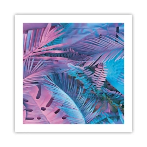 Affiche - Poster - Les tropiques en rose et bleu - 50x50 cm