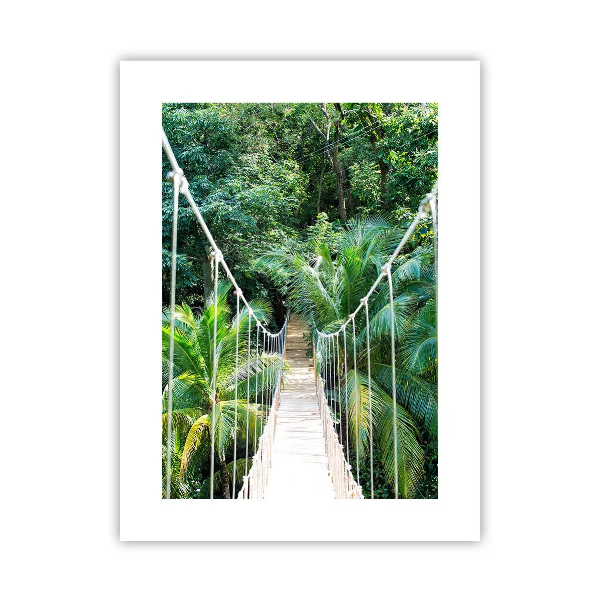 Affiche - Poster - Welcome to the jungle! - 30x40 cm