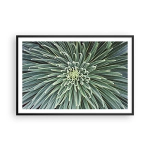 Affiche dans un cadre noir - Poster - Naissance d'une étoile - 91x61 cm