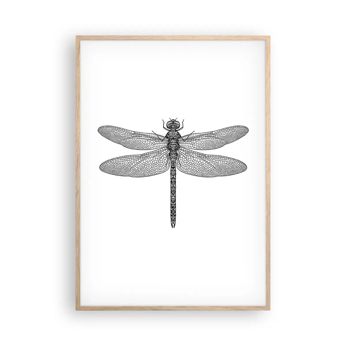 Affiche dans un chêne clair - Poster - Précision de la nature - 70x100 cm