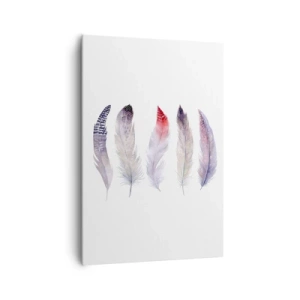 Impression sur toile - Image sur toile - Cinq plumes délicates aux tons pastel sur fond clair - 70x100cm - Délicat comme un brouillard multicolore - Décoration murale moderne pour le salon et la chambre ARTTOR