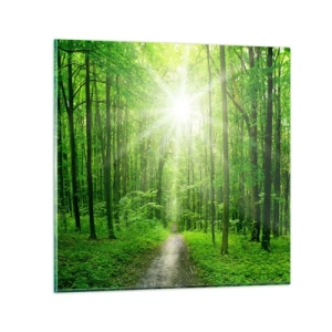 Impression sur verre - Image sur verre - Cathédrale verte - 60x60 cm