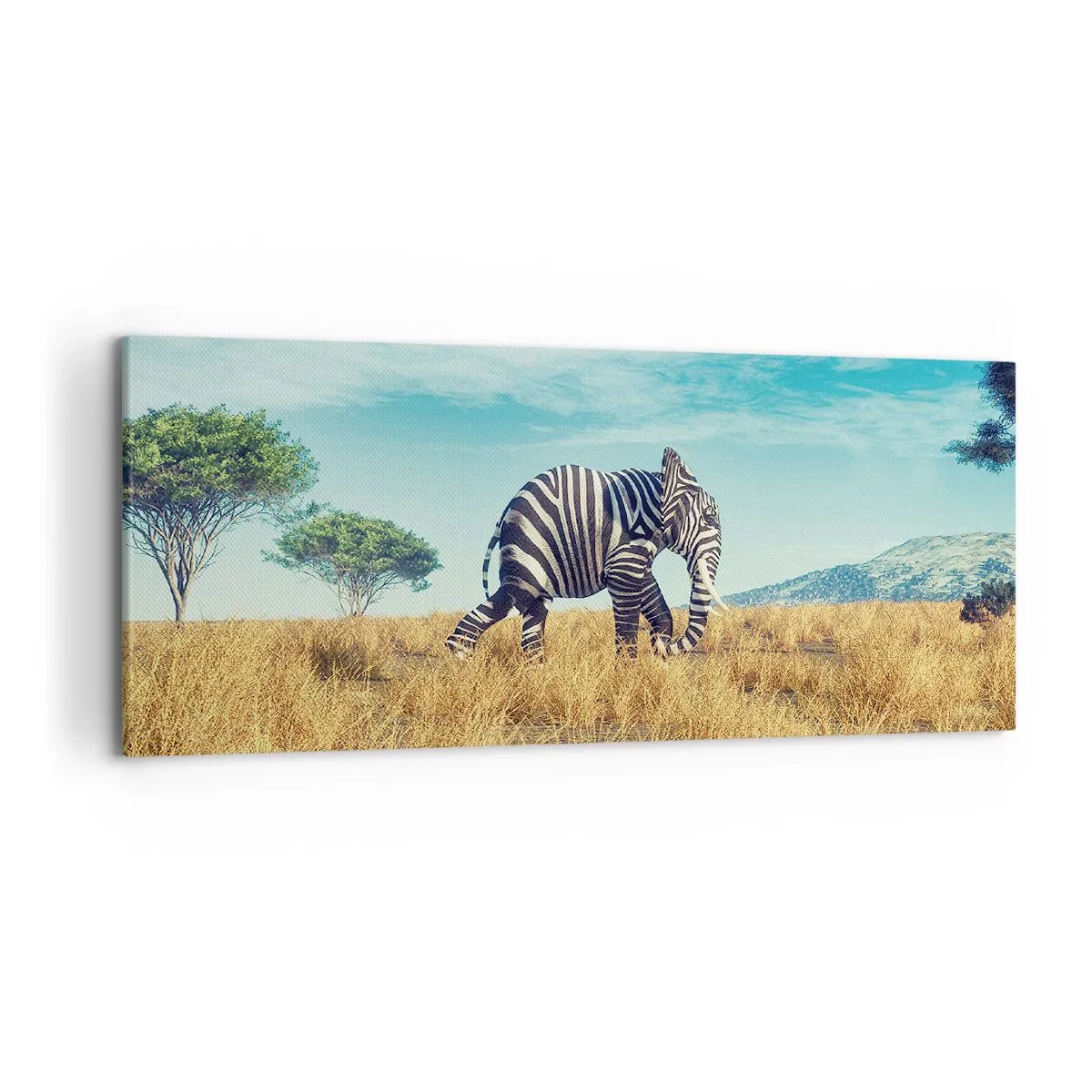 Impression sur toile - Image sur toile - Zèbre dans un paysage africain - 120x50cm - Le gris n'est déjà plus à la mode - Décoration murale moderne pour le salon et la chambre ARTTOR