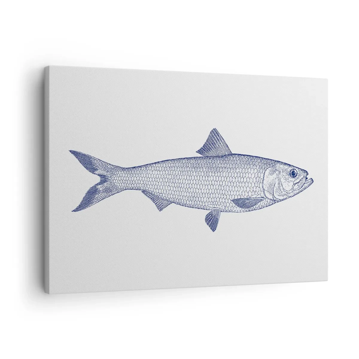 Impression sur toile - Image sur toile - Illustration d'un poisson dans des tons de bleu sur fond clair - 70x50cm - Salutations des mers du nord - Décoration murale moderne pour le salon et la chambre ARTTOR