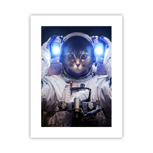 Affiche - Poster - Houston, vous avez un problème - 30x40 cm