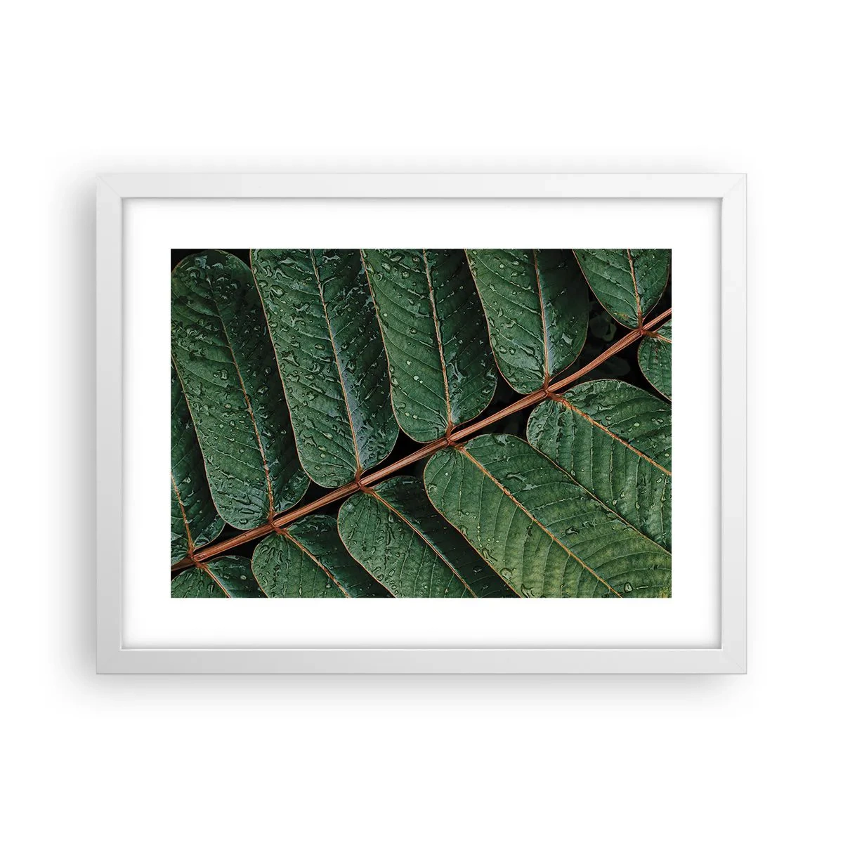 Affiche dans un cadre blanc - Poster - Au rythme de la verdure - 40x30 cm