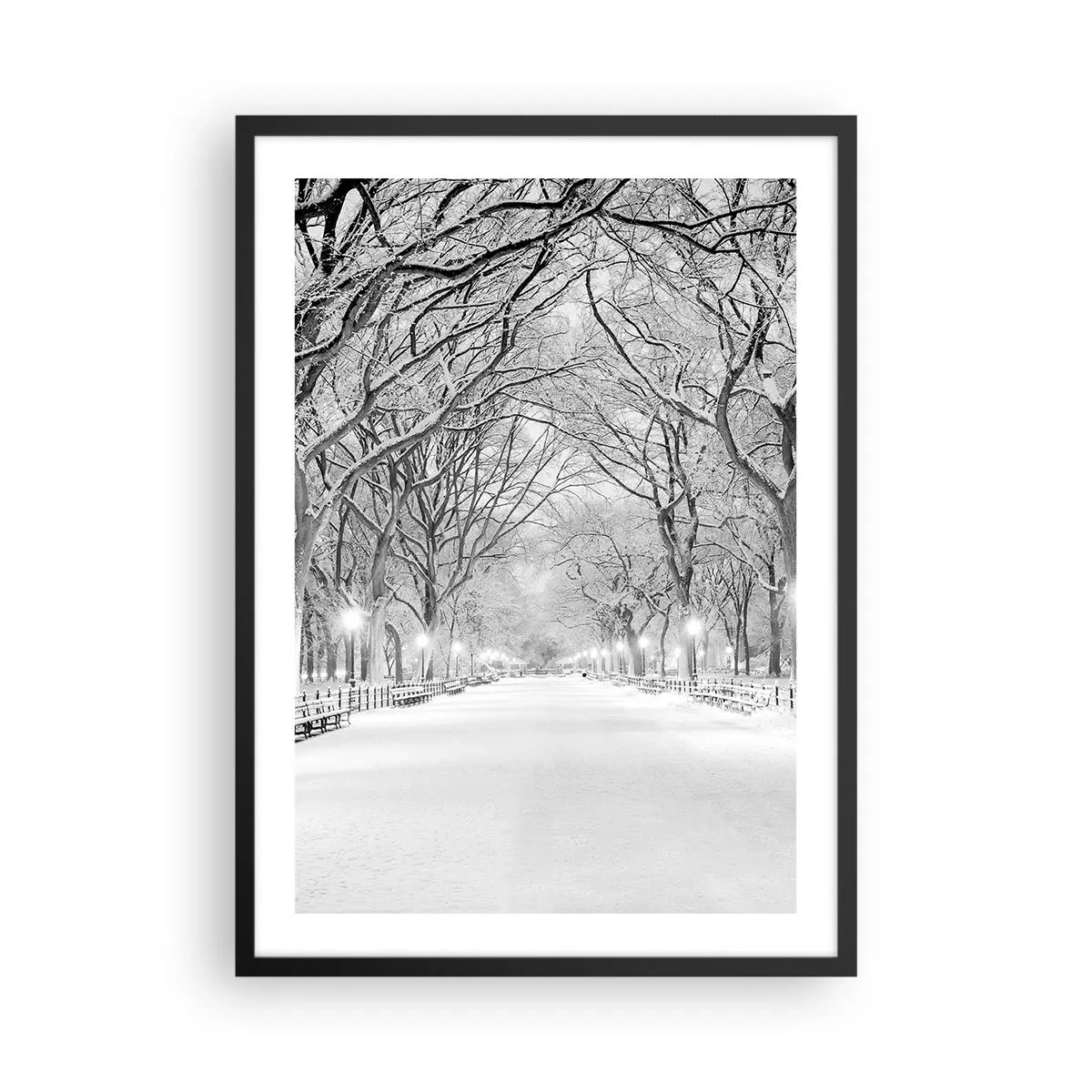 Affiche dans un cadre noir - Poster - Une allée d'arbres enneigés dans le parc en hiver - 50x70cm - Les quatres saisons – l’hiver - Décoration murale moderne pour le salon et la chambre ARTTOR