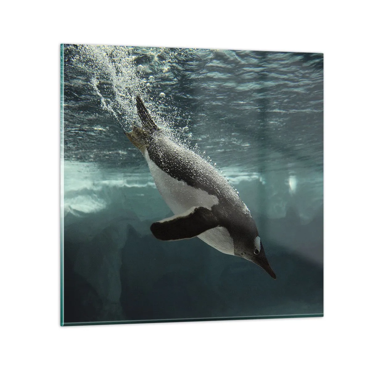 Impression sur verre - Image sur verre - Bienvenue dans mon monde - 30x30 cm