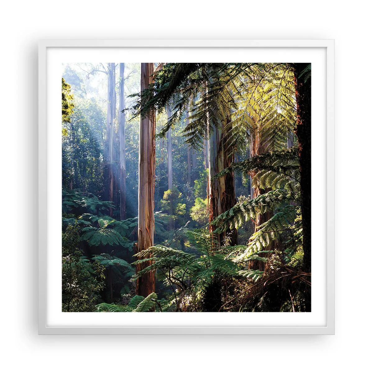 Affiche dans un cadre blanc - Poster - Fable de la forêt - 60x60 cm