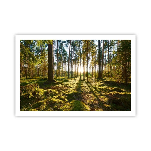 Affiche - Poster - … Derrière les sept forêts - 91x61 cm