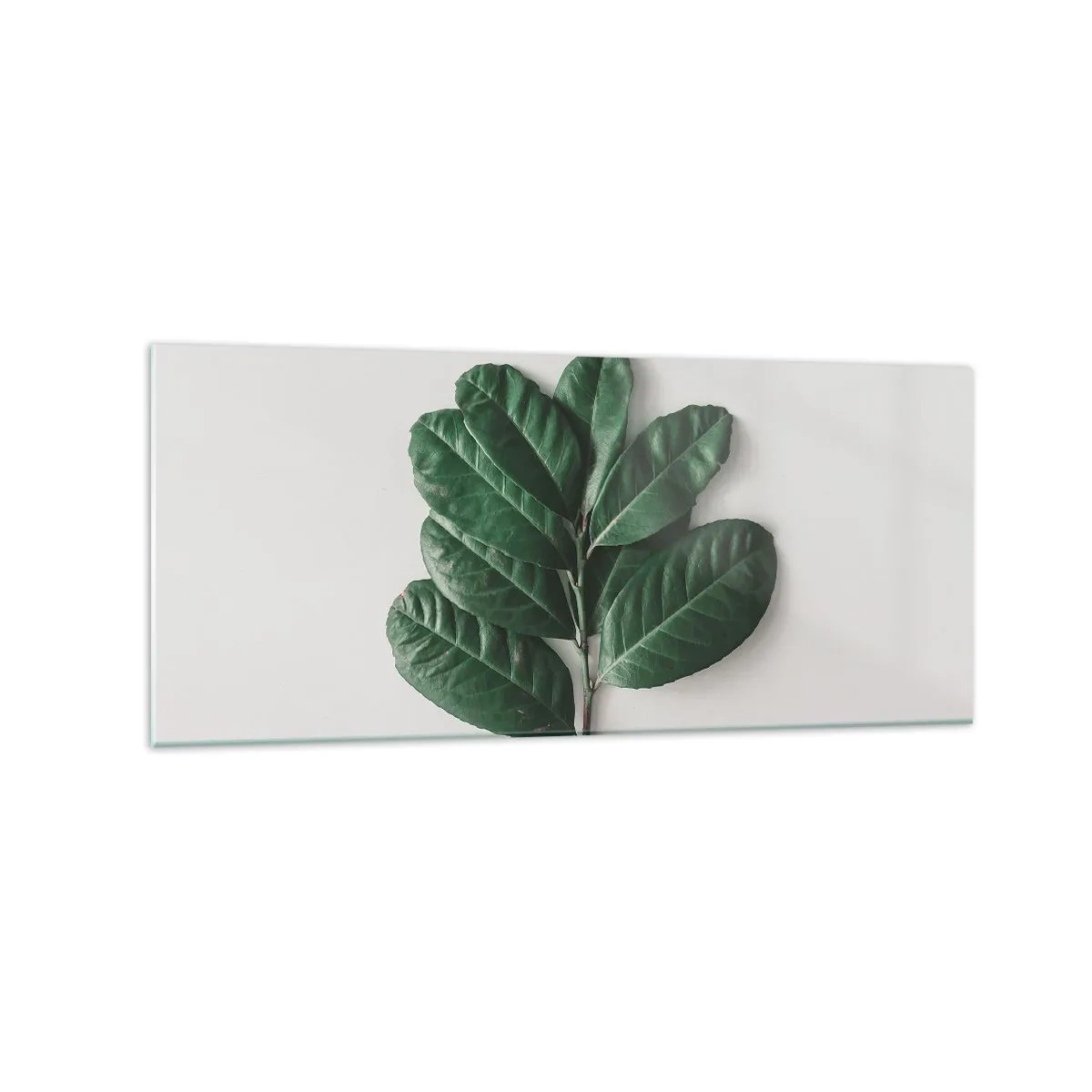 Impression sur verre - Image sur verre - Un brin de feuilles vertes sur un fond clair - 120x50cm - Dessin de la nature elle-même - Décoration murale moderne pour le salon et la chambre ARTTOR