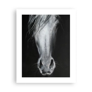 Affiche - Poster - Regard séduisant - 40x50 cm