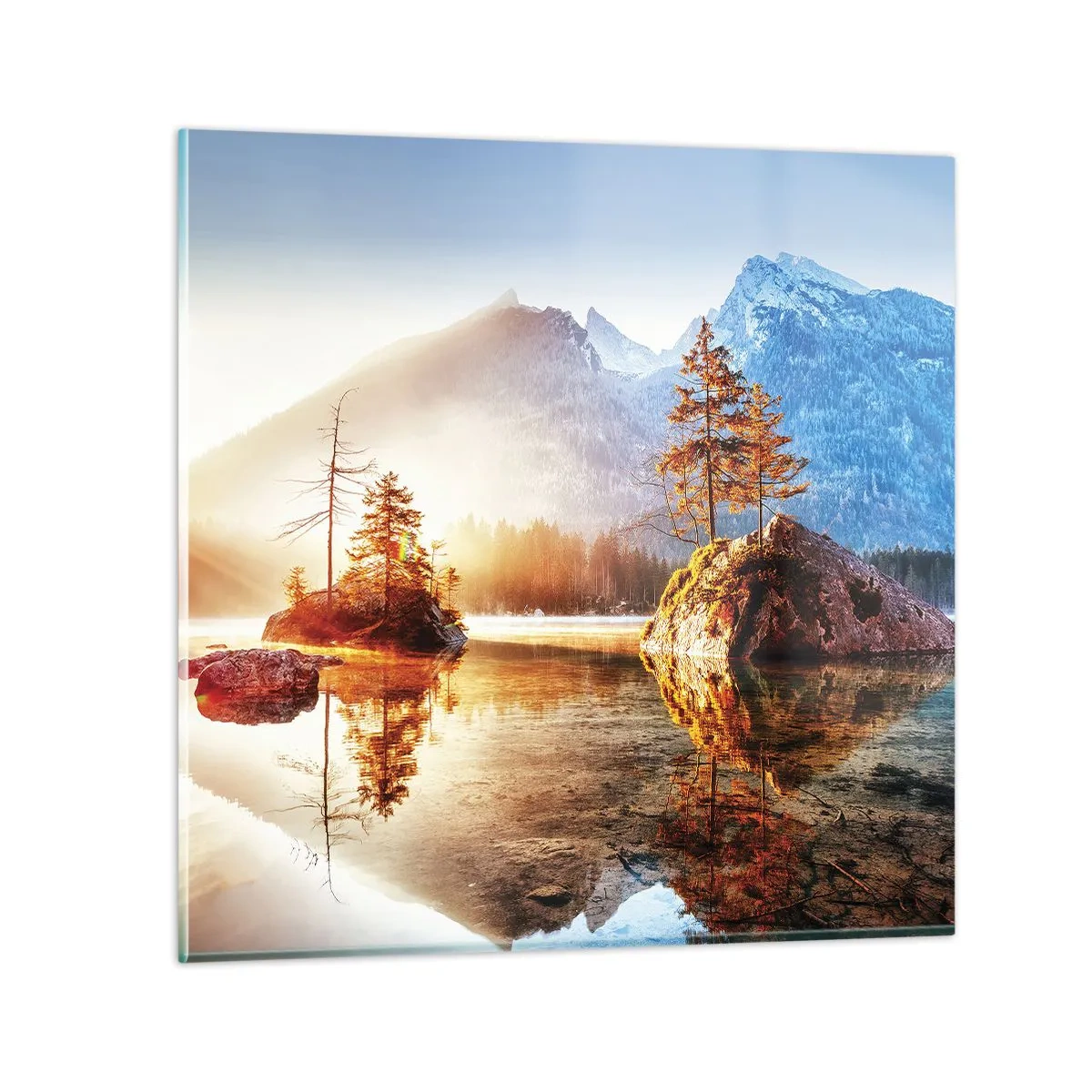 Impression sur verre - Image sur verre - La nature sous un nouveau jour - 50x50 cm