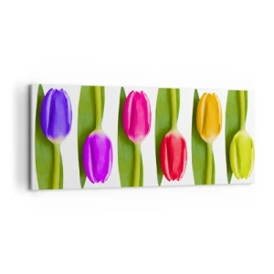 Impression sur toile - Image sur toile - Composition arc-en-ciel - 100x40 cm
