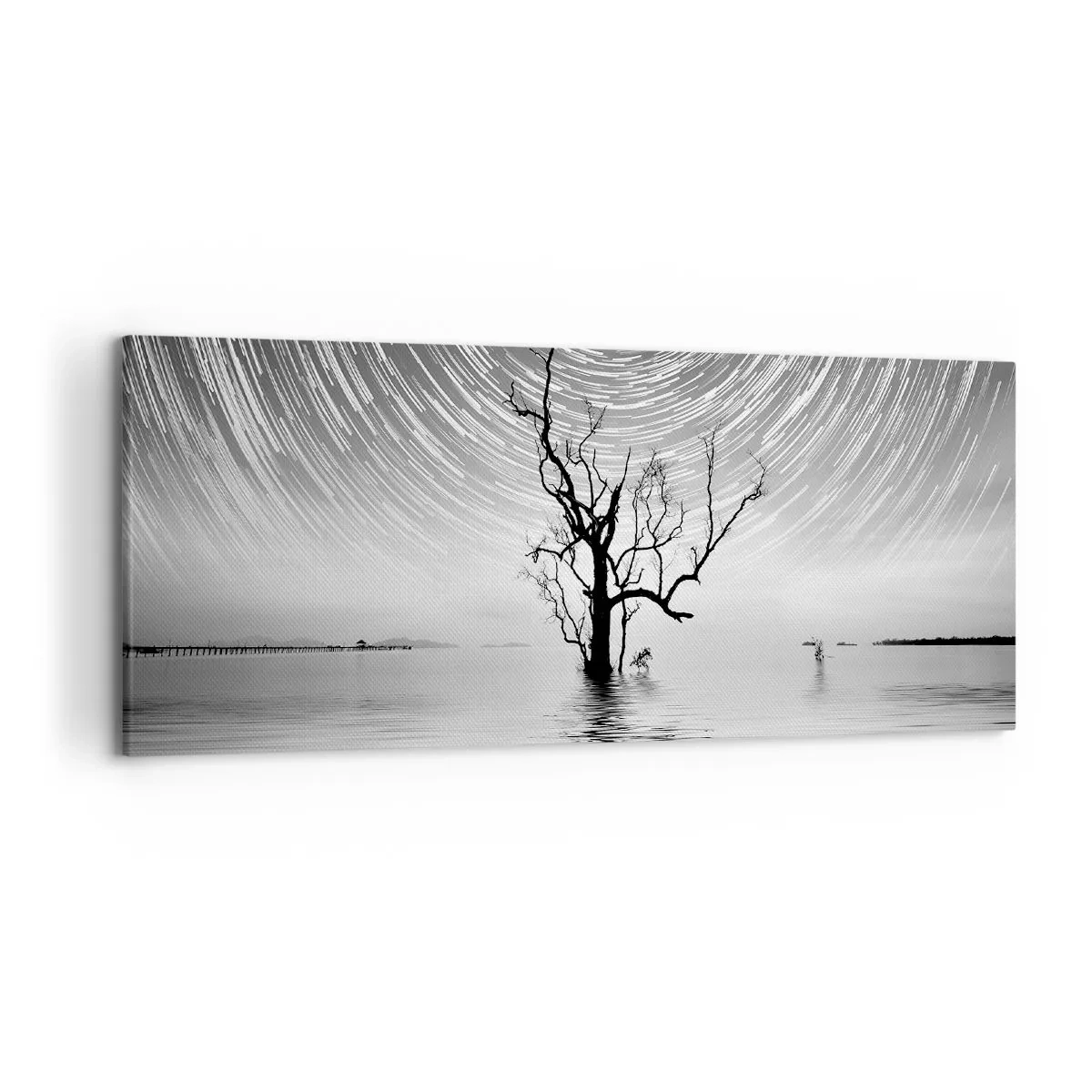 Impression sur toile - Image sur toile - Un arbre dans l'eau sous un ciel nocturne avec des étoiles en mouvement - 120x50cm - La symphonie de la nature - Décoration murale moderne pour le salon et la chambre ARTTOR