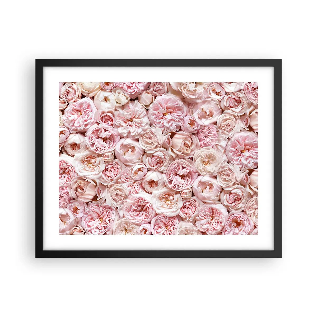Affiche dans un cadre noir - Poster - Un lit de roses - 50x40 cm