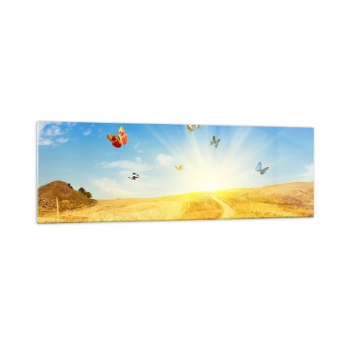 Impression sur verre - Image sur verre - Un champ doré, un chemin et des papillons contre un ciel bleu - 160x50cm - Et comment ne pas aimer l'été ? - Décoration murale moderne pour le salon et la chambre ARTTOR