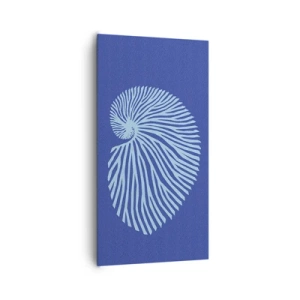 Impression sur toile - Image sur toile - La naissance de la coquille - 65x120 cm