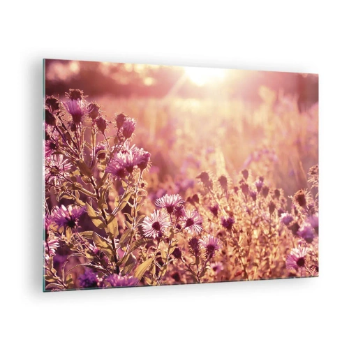 Impression sur verre - Image sur verre - Fleurs violettes dans la prairie à la lumière du soleil couchant - 70x50cm - Avant que l'été ne parte - Décoration murale moderne pour le salon et la chambre ARTTOR
