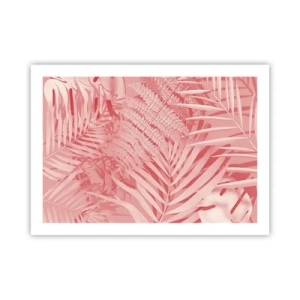 Affiche - Poster - Concept de rose - 70x50 cm