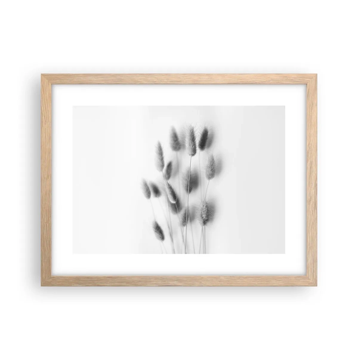 Affiche dans un chêne clair - Poster - Son herbe duveteuse - 40x30 cm