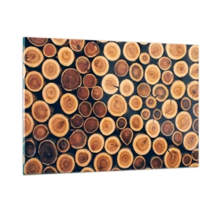 Impression sur verre - Image sur verre - Vue de troncs d'arbres coupés disposés en rangée - 120x80cm - Quel âge je semble avoir ? - Décoration murale moderne pour le salon et la chambre ARTTOR