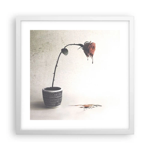 Affiche dans un cadre blanc - Poster - Rosa dolorosa - 40x40 cm