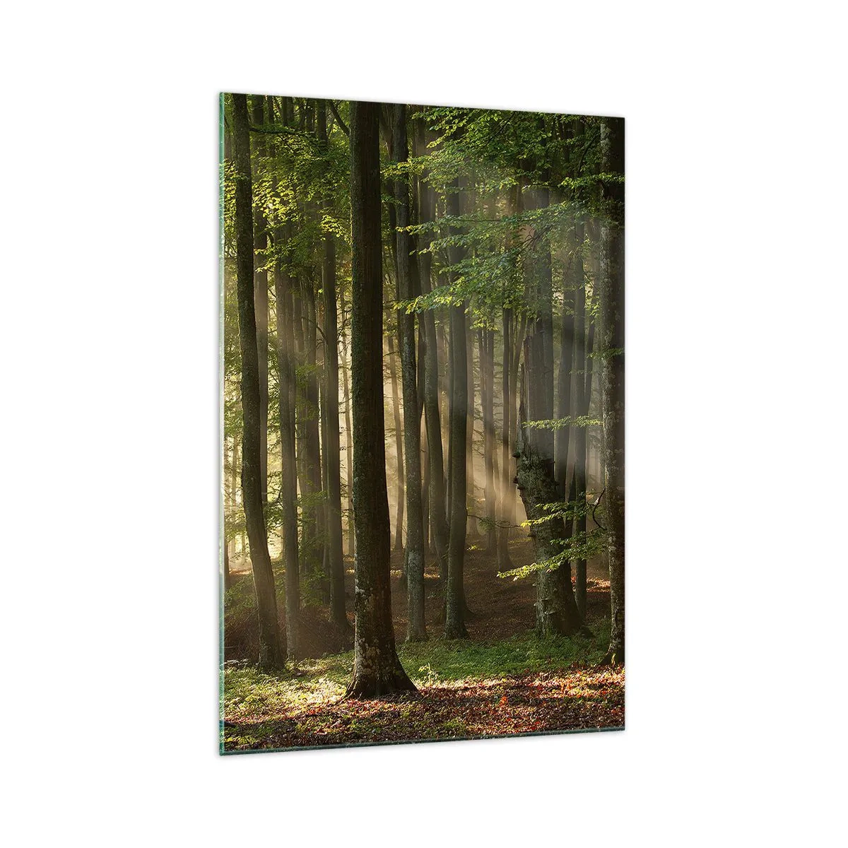 Impression sur verre - Image sur verre - Les rayons du soleil pénètrent à travers les arbres de la forêt - 70x100cm - Rayon d'un matin de printemps - Décoration murale moderne pour le salon et la chambre ARTTOR