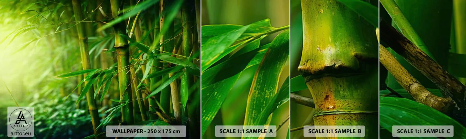 Échantillon de Papier Peint Autocollant Deluxe Sticker - Apprenez à connaître le vert lui-même - Usine, Bambou, Jungle - 100x30 cm