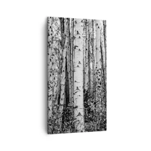Impression sur toile - Image sur toile - Enchevêtrement de bouleau - 45x80 cm