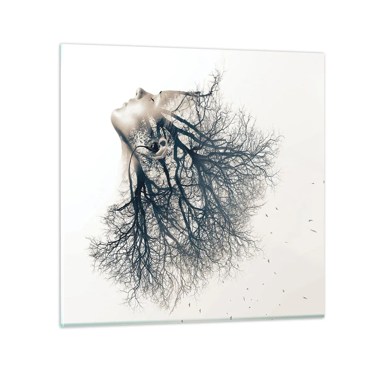 Impression sur verre - Image sur verre - Écouter le murmure des arbres - 50x50 cm