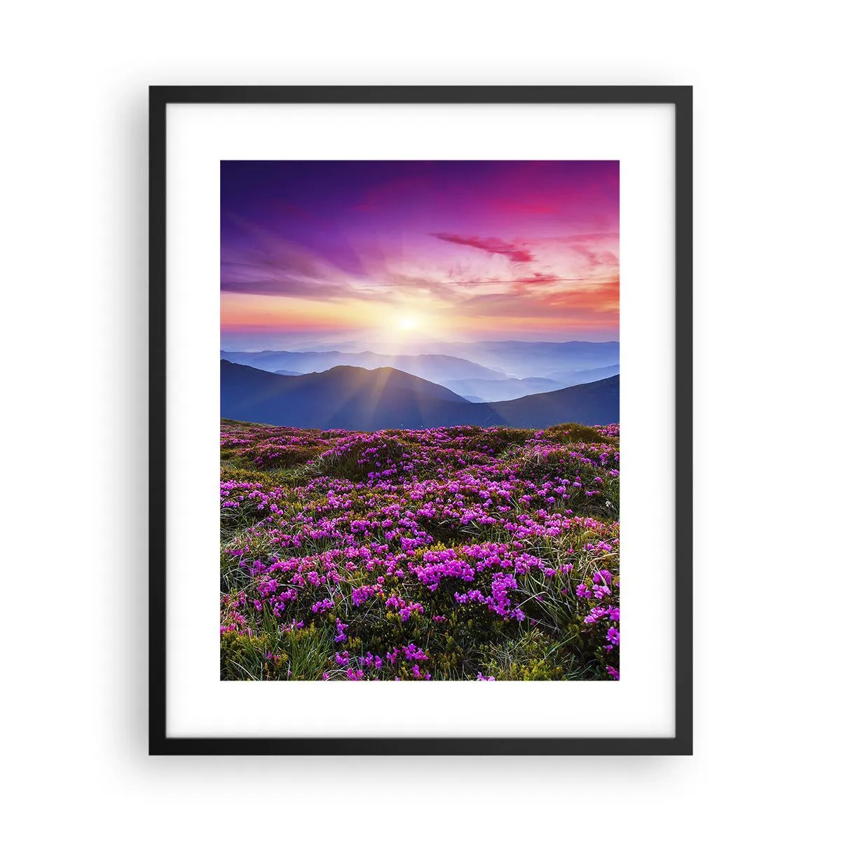 Affiche dans un cadre noir - Poster - Les herbes sentaient les grappes fraîches de la récolte - 40x50 cm