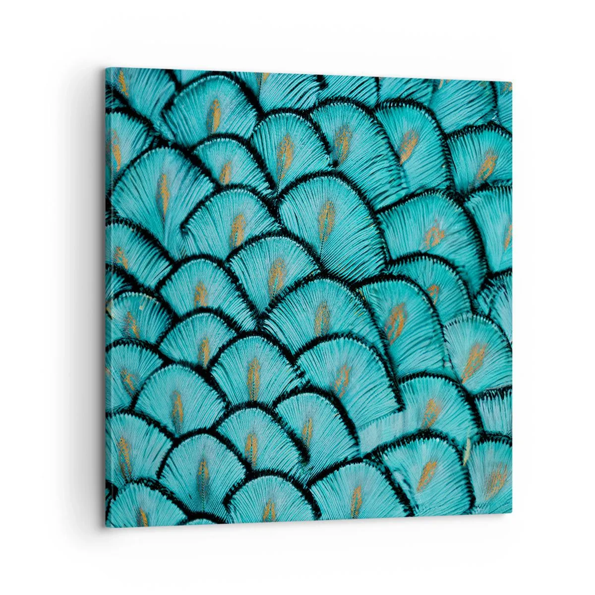 Impression sur toile - Image sur toile - Le grand gala des plumes - 60x60 cm