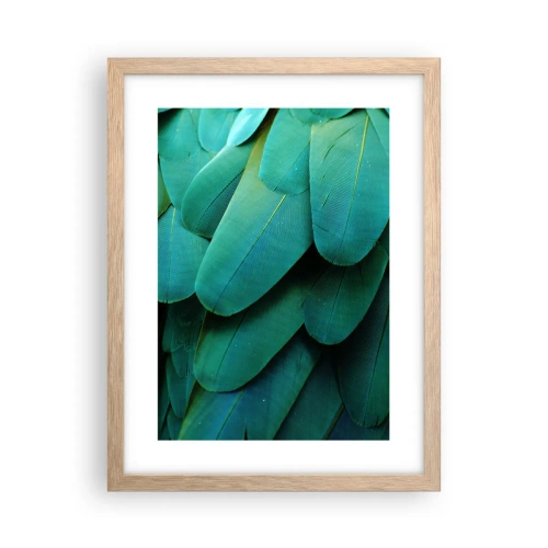Affiche dans un chêne clair - Poster - Perfection de la nature du perroquet - 30x40 cm