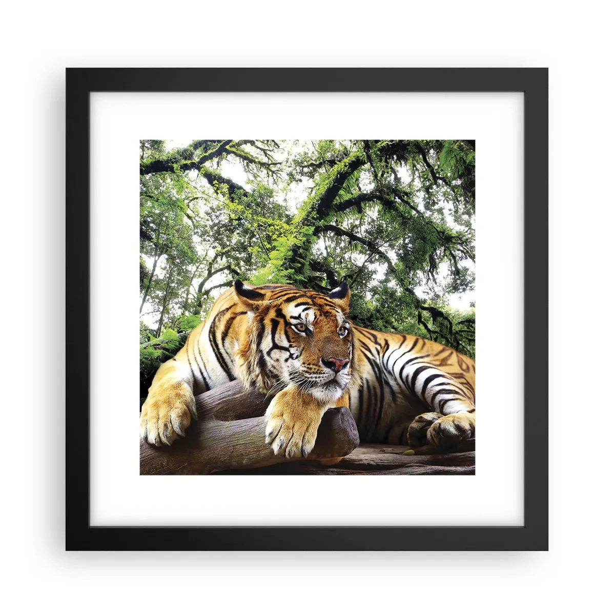 Affiche dans un cadre noir - Poster - Cordialement - 30x30 cm