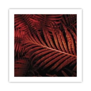 Affiche - Poster - Chaleur de la vie - 50x50 cm