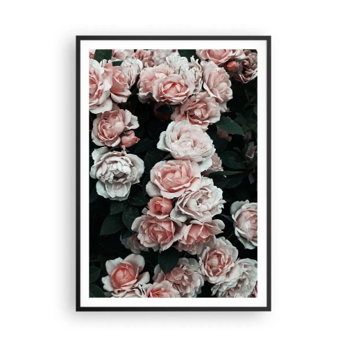Affiche dans un cadre noir - Poster - Ensemble de rose - 70x100 cm