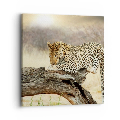 Impression sur toile - Image sur toile - Je suis ma propre route - 40x40 cm