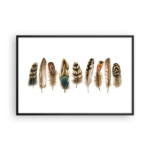 Affiche dans un cadre noir - Poster - Variation à plumes - 91x61 cm