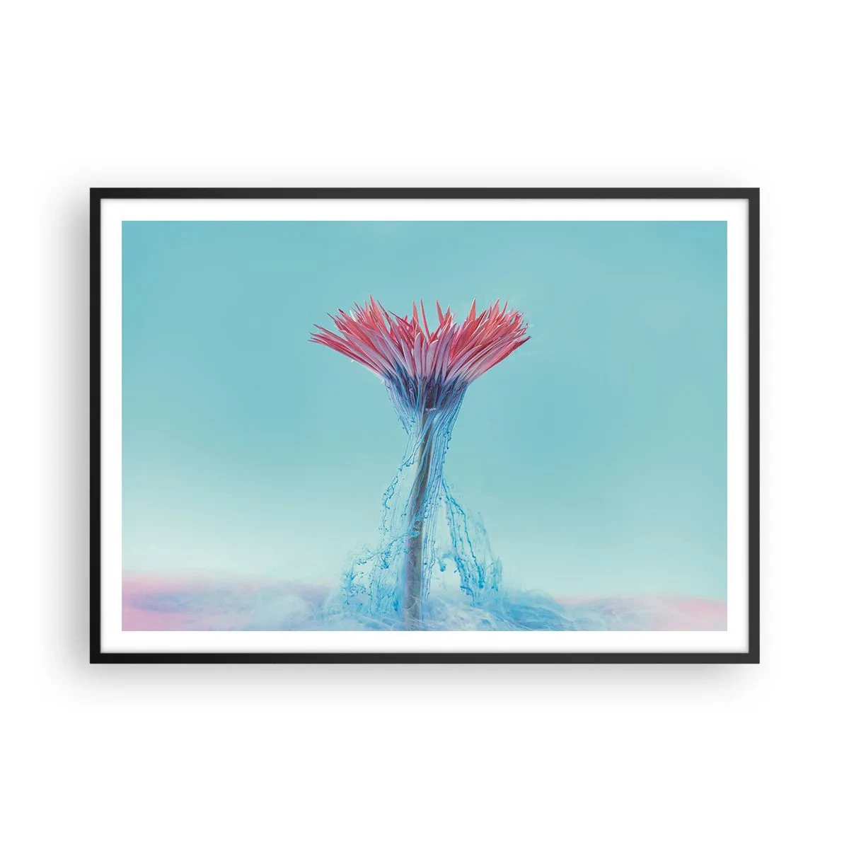 Affiche dans un cadre noir - Poster - Une fleur rose et bleue dans un arrangement artistique sur un fond pastel - 100x70cm - Dans une étreinte vivifiante - Décoration murale moderne pour le salon et la chambre ARTTOR