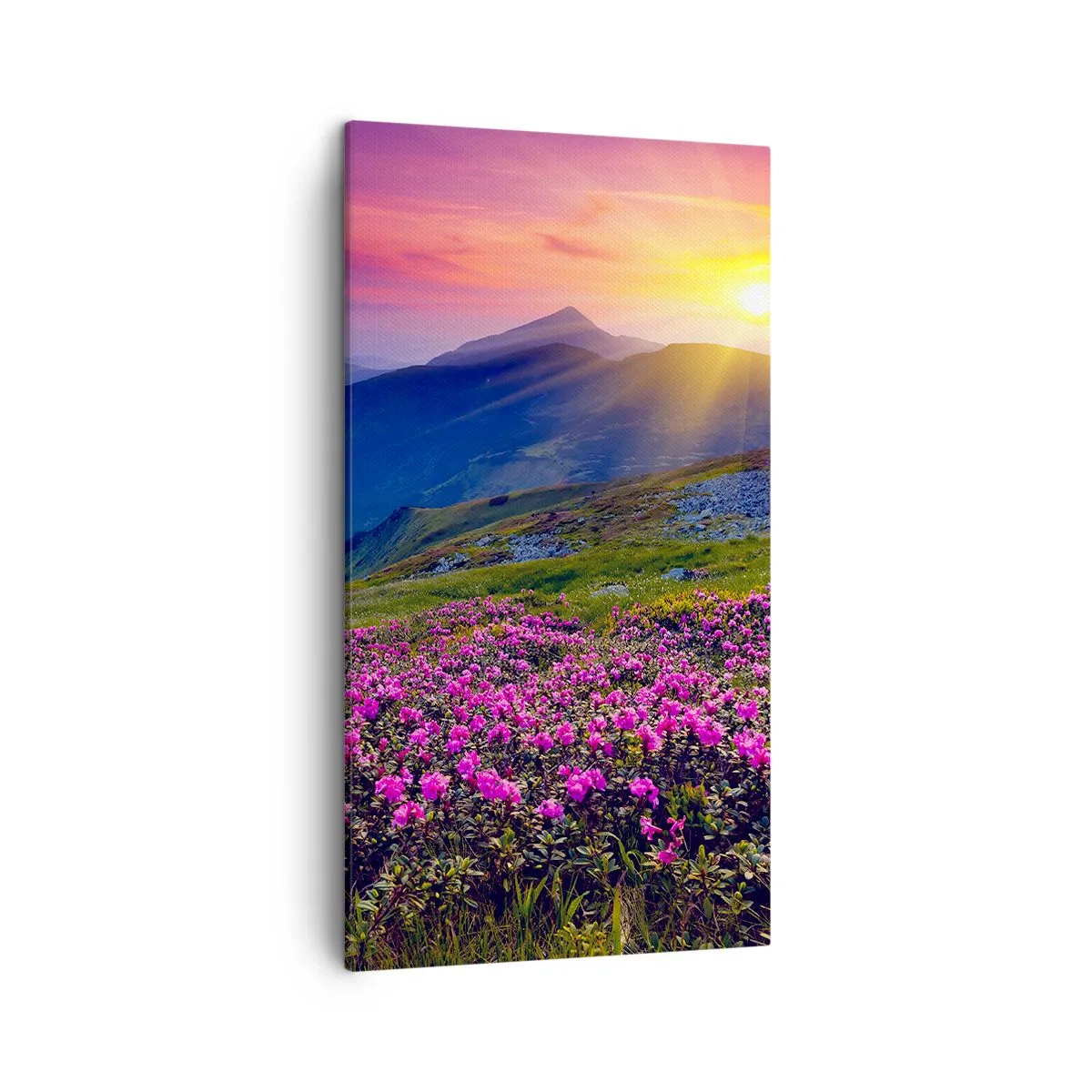 Impression sur toile - Image sur toile - … Et autour, ça sent le pin des montagnes et l'odeur de la prairie - 45x80 cm