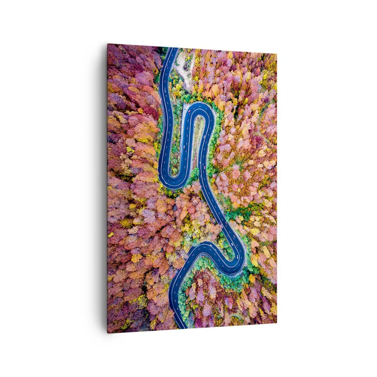 Impression sur toile - Image sur toile - Une route sinueuse dans une forêt d'automne vue à vol d'oiseau - 80x120cm - Route sinueuse à travers la forêt - Décoration murale moderne pour le salon et la chambre ARTTOR