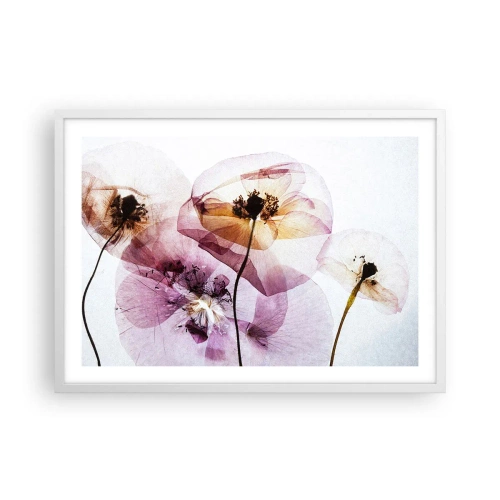 Affiche dans un cadre blanc - Poster - Corps de fleurs transparente - 70x50 cm